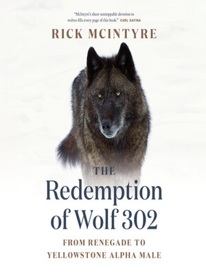 cover image of The Redemption of Wolf 302